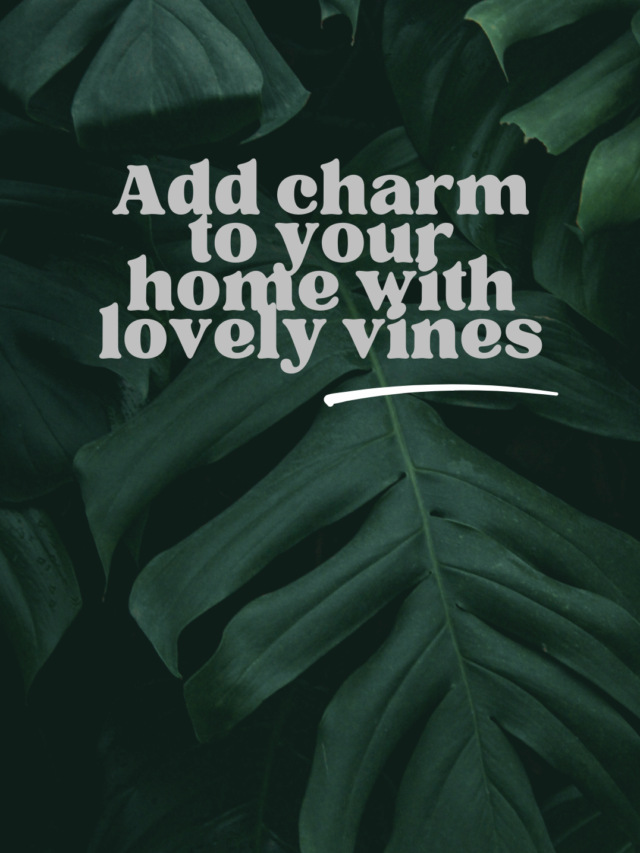 Fresh Ideas for Bringing Climbing Plants & Vines Into the Home