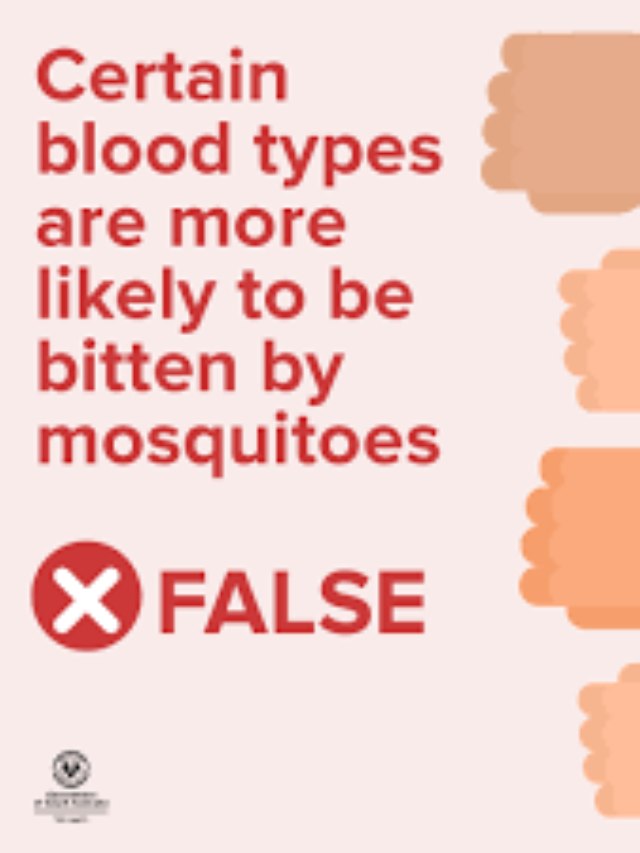 6 Reasons why mosquitoes bite some people more than others