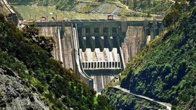 Bigger Indus plan: 113km canal to take surplus to Punjab, Haryana and Rajasthan | India News