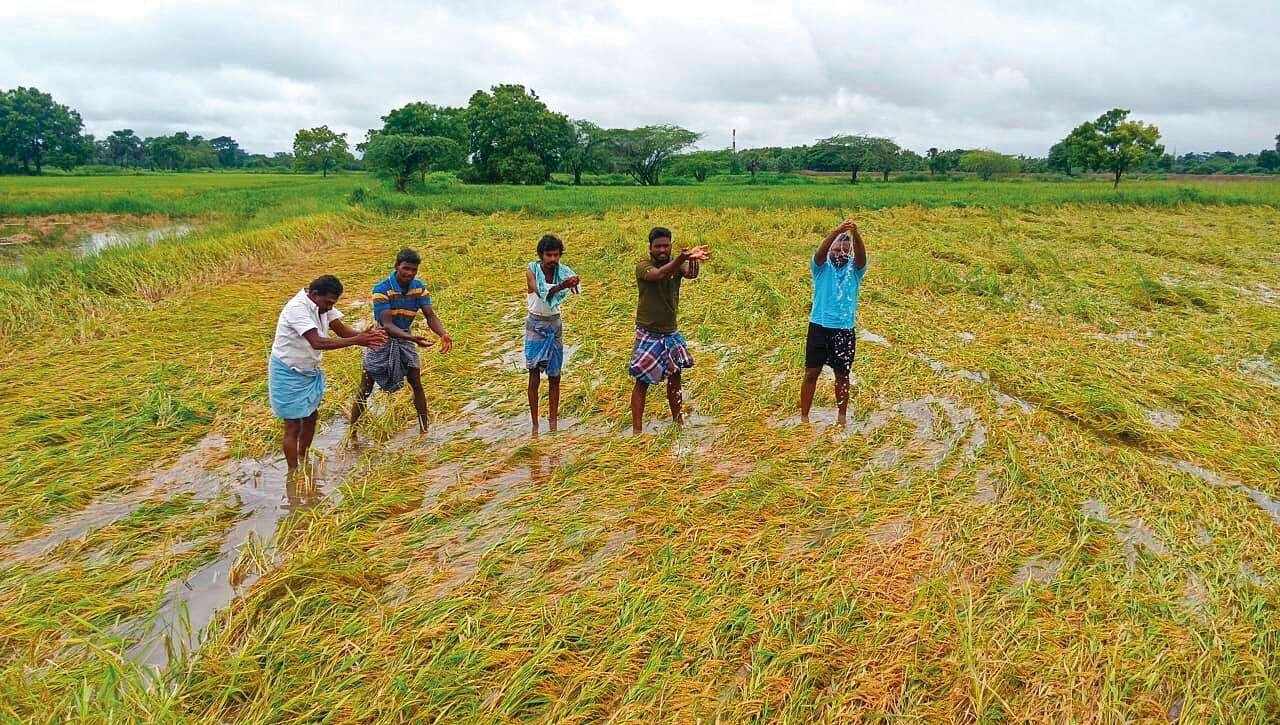 TN govt should roll up its sleeves, not keep fingers crossed