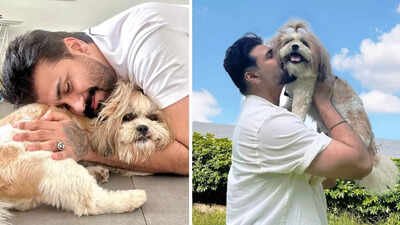 Aarya Babbar on how dogs get scared of firecrackers during Diwali; ‘I understand that pain’ – Exclusive |
