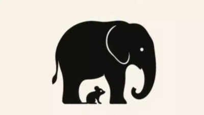 Optical illusion personality test: Elephant or mouse? The animal you spot first reveals your strengths, weaknesses, and how to balance them