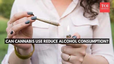 California sober trend: Can cannabis use reduce alcohol consumption? |