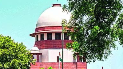 SC backs sacking of Lt for shunning his troops’ rituals | India News