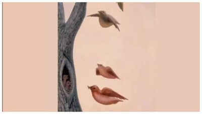 Personality Test: Woman, birds or tree: The object you see first will reveal an unknown facet of your personality |