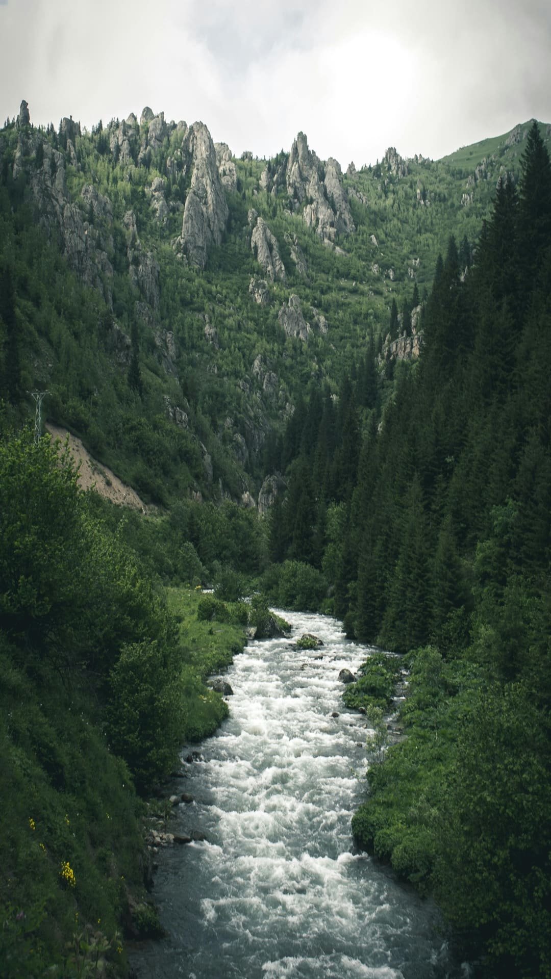 ये हैं दुनिया की सबसे साफ 7 नदियां