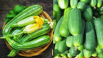 Cucumber vs. Zucchini: Key differences you should know in nutrition and taste |