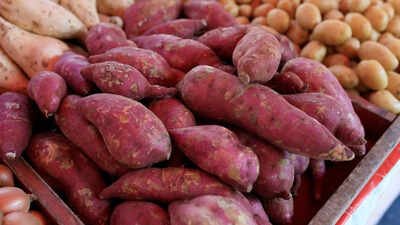 Health benefits of sweet potato skin: How eating it supports gut, heart, and eye health |