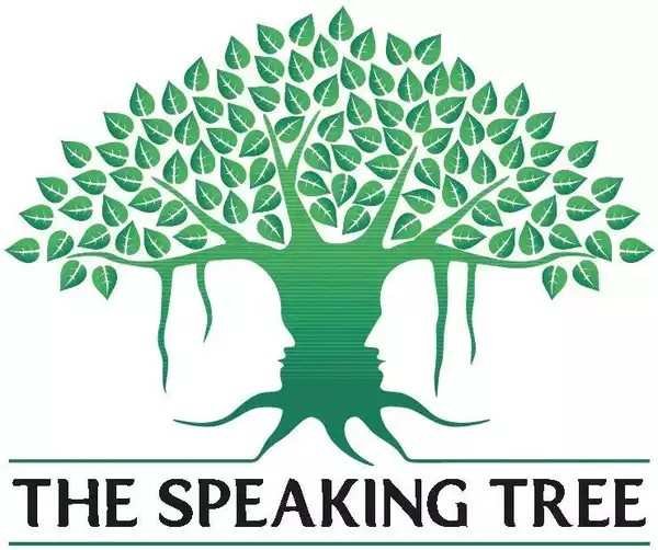 Insensitive cities develop at the cost of their soil