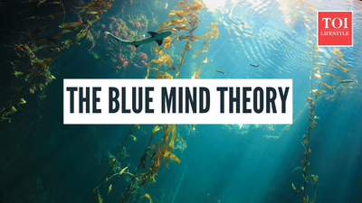 What is the blue mind theory and how you can harness its benefits |