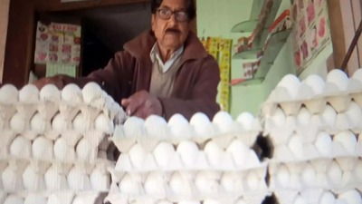 Eggs safe, cancer claims baseless: FSSAI | India News