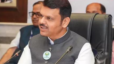 Mahayuti sweeps Phase 1 of Maharashtra local body polls | India News