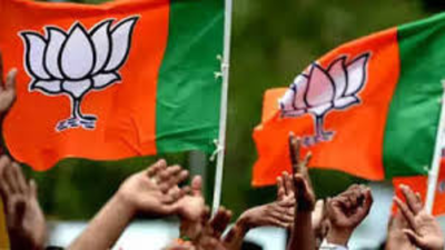 6 BJP aspirants from same Loha family lose polls | India News