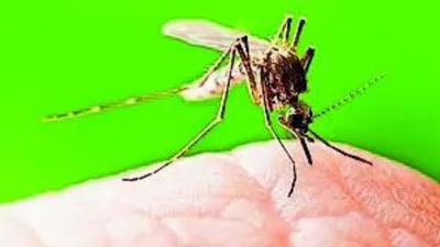 ‘Result of institutional strength’: India logs steep decline in TB, malaria and maternal deaths; Nadda hails people’s participation | India News