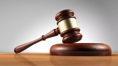 Trial court erred: Allahabad high court; man freed after 24 years in jail | India News