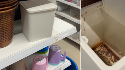 Watch: Video goes viral of gutka-stained dustbin on sale in Kanpur store; netizens point at lack of civic sense | India News