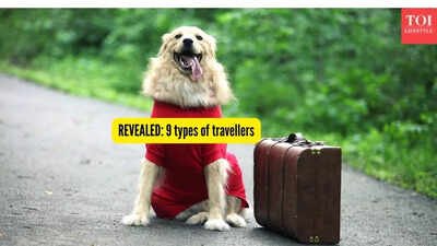 There are 9 types of travellers; which one are you?