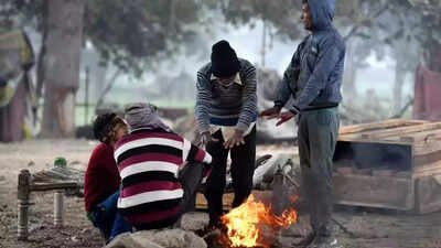 Central and adjoining northwest India may face chilly winter with more number of cold wave days: IMD | India News