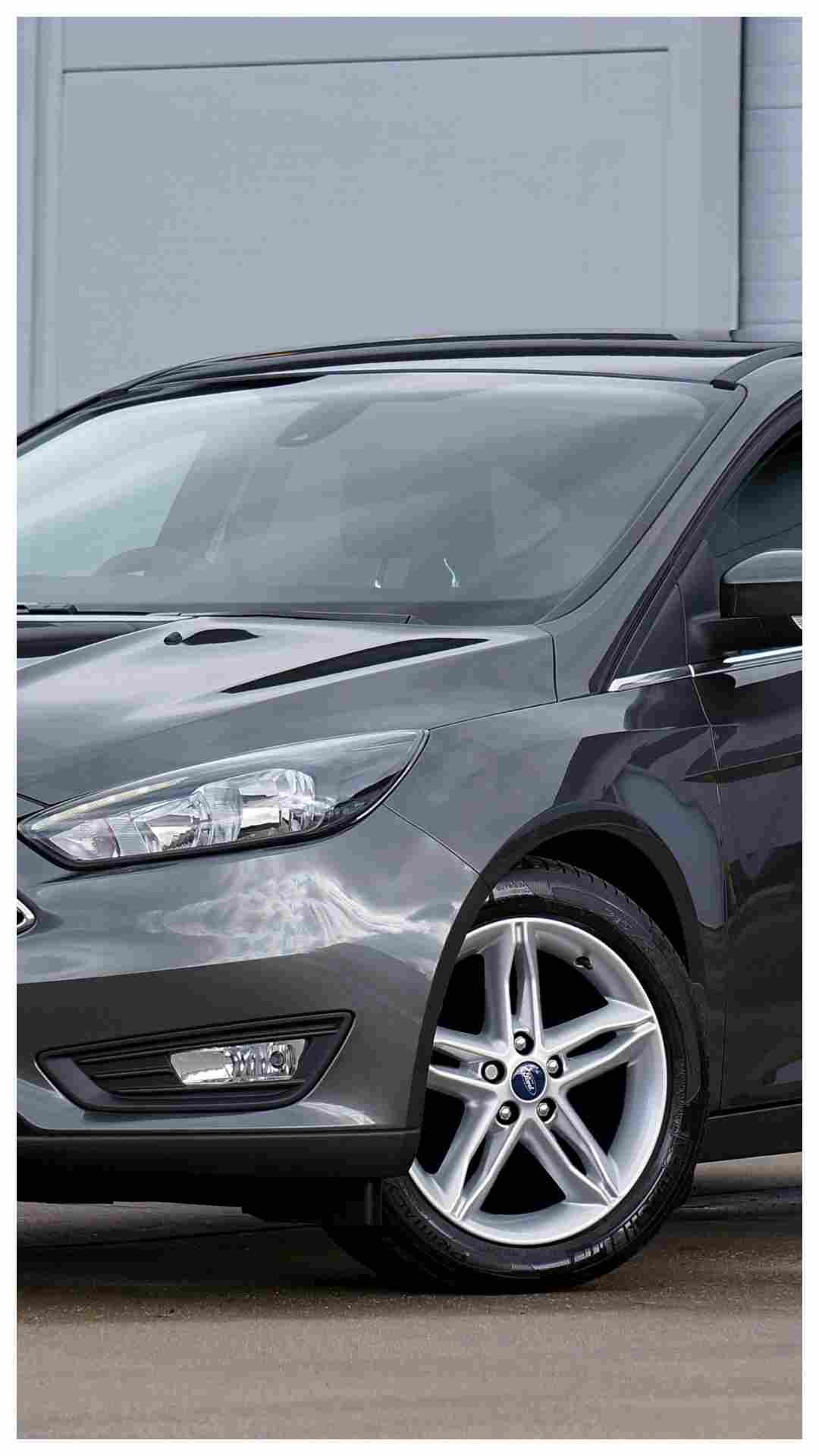 किन फलों को काटकर रखने से दूर होती है कार की बदबू?