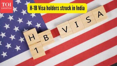 H-1B Visa holders struck in India as U.S. expands its screening for work permit renewals: When is it going to streamline? |