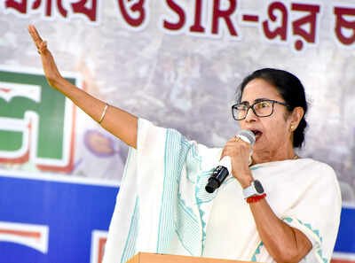 ‘This is not Uttar Pradesh’: Mamata Banerjee condemns assault on non-veg food vendors; three arrested | India News