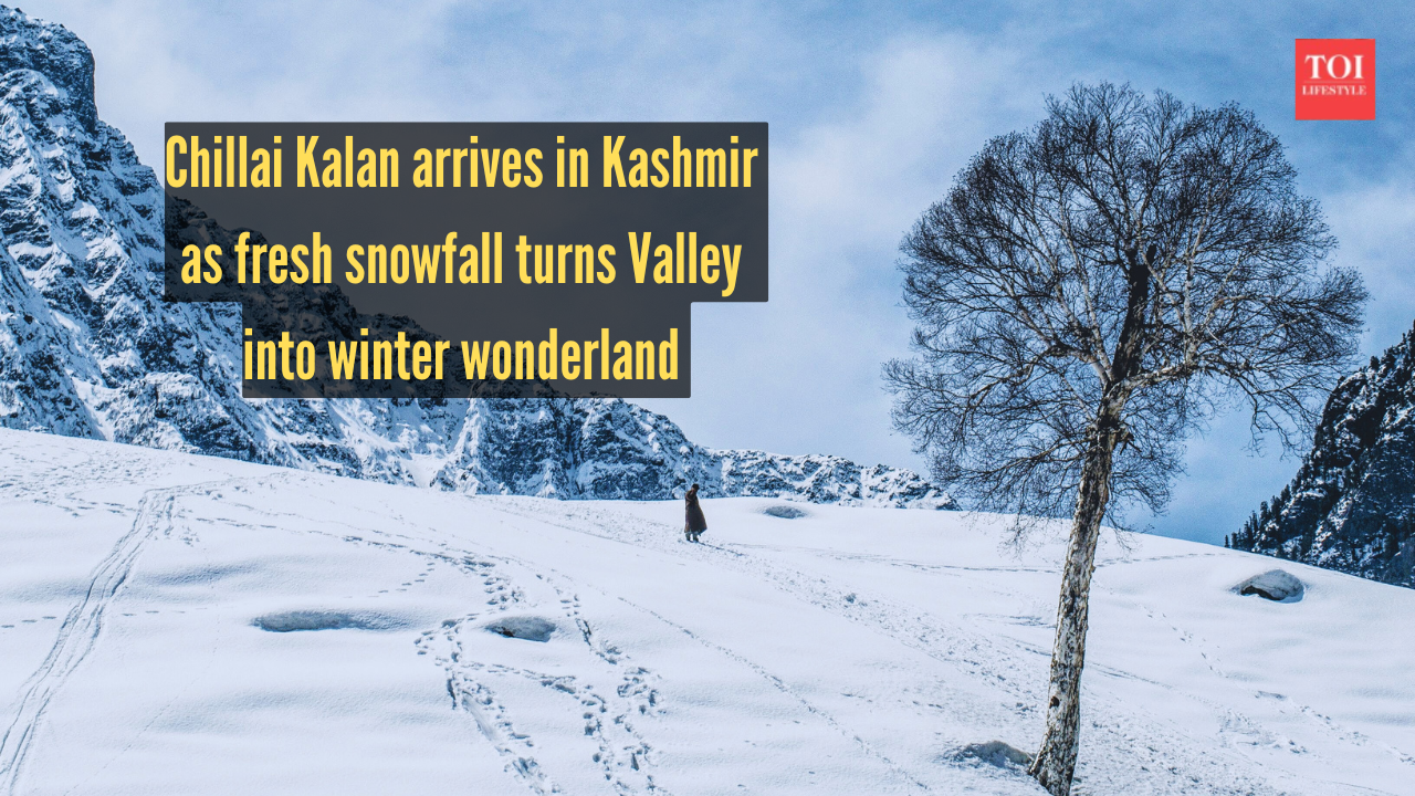 Chillai Kalan arrives as fresh snowfall turns the Valley into a winter wonderland — what exactly is it?
