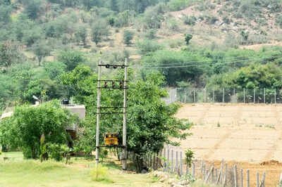 ‘No new mining lease till mgmt plan is final’ | India News