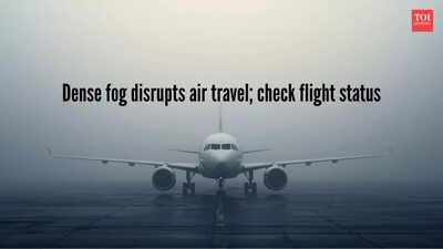 Air travel hit by dense fog in North India, Delhi worst affected: 100+ flights cancelled, passengers asked to check status |