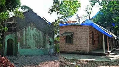 What’s lost when hospitals lose their trees | India News