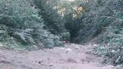 22 feared dead in Arunachal gorge tragedy | India News