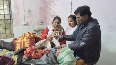 Elderly man injured in VTR bear attack | Patna News