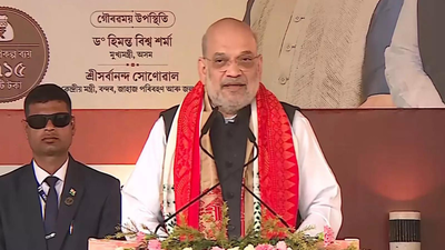 ‘Disrespected northeast by not wearing gamosa’: Amit Shah blasts Rahul Gandhi in poll-bound Assam | India News
