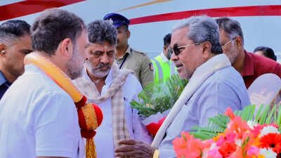 Troubleshooter Rahul? Siddaramaiah, Shivakumar meet Cong leader; Karnataka power struggle continues | India News