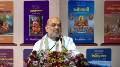 Adi Shankaracharya raised Sanatana Dharma banner high: Amit Shah | India News