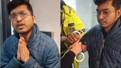 Viral video shows Indian student arrested in UK for online grooming: What really happened?
