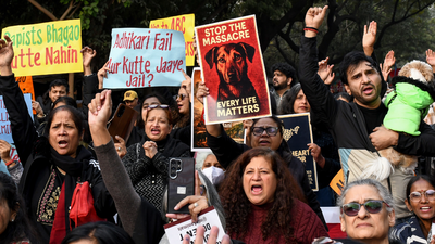 ‘Take them to your house’: Supreme Court questions dog feeding groups; compensation warning for states | India News