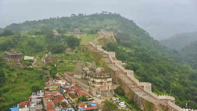 Area around Kumbhalgarh wildlife sanctuary declared eco-sensitive zone | India News