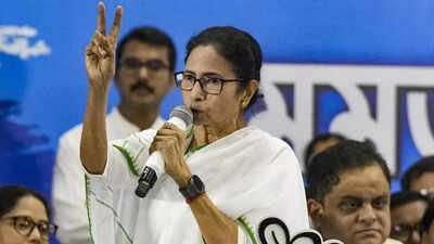 SIR showdown: Mamata to move SC against ‘inhumane treatment’ of people; cites deaths ‘due to fear’ | India News