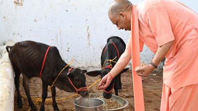 From wheat to milk: Uttar Pradesh’s agriculture clocks record output, boosts farm incomes | India News