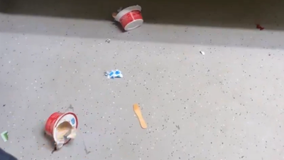 Watch: Vande Bharat Sleeper littered hours after inaugural run; video goes viral | India News