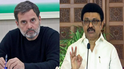 No Rahul-Stalin in Tamil Nadu? DMK rejects Congress‘s ‘sharing power’ proposal; CM firm on stand | India News