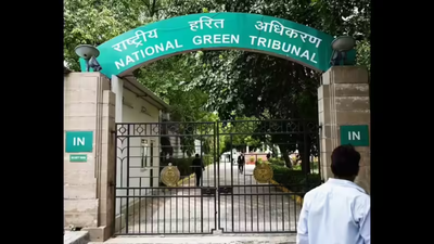 To cut trees for roads, NGT bench wants national policy | India News