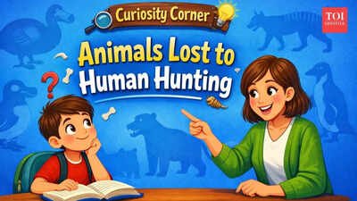 Curiosity Corner: Animals that went extinct because of human hunting