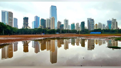 Post-Covid surge stabilises: Godrej Properties executive chairperson says Indian housing market remains strong