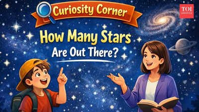 Curiosity Corner: How many stars are there in the universe? |