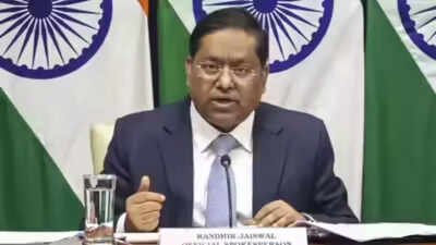 India didn’t send observers for Bangladesh polls: MEA | India News