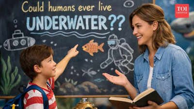 Curiosity Corner: Could humans ever live underwater? |