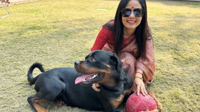 TMC MP Mahua Moitra moves Delhi high court against ex-partner seeking custody of pet Rottweiler ‘Henry’ | India News