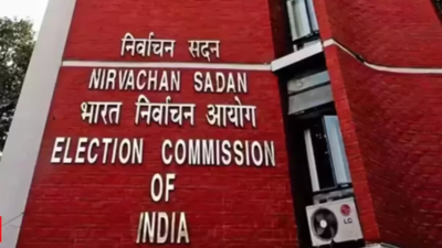 EC asks 22 states, UTs to prepare for final phase of SIR expected in April | India News
