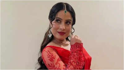 Sanjana Pandey impresses the audience with her performance in the latest film ‘Collector Sahiba’ | Bhojpuri Movie News